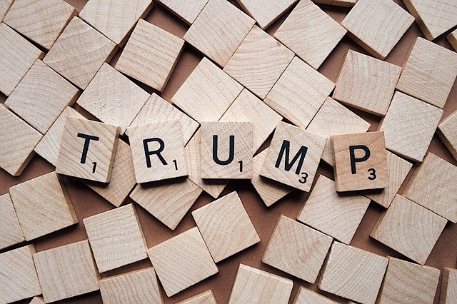 trump, president, politics, donald, political, businessman, election, brown businessman, trump, trump, trump, trump, trump, election